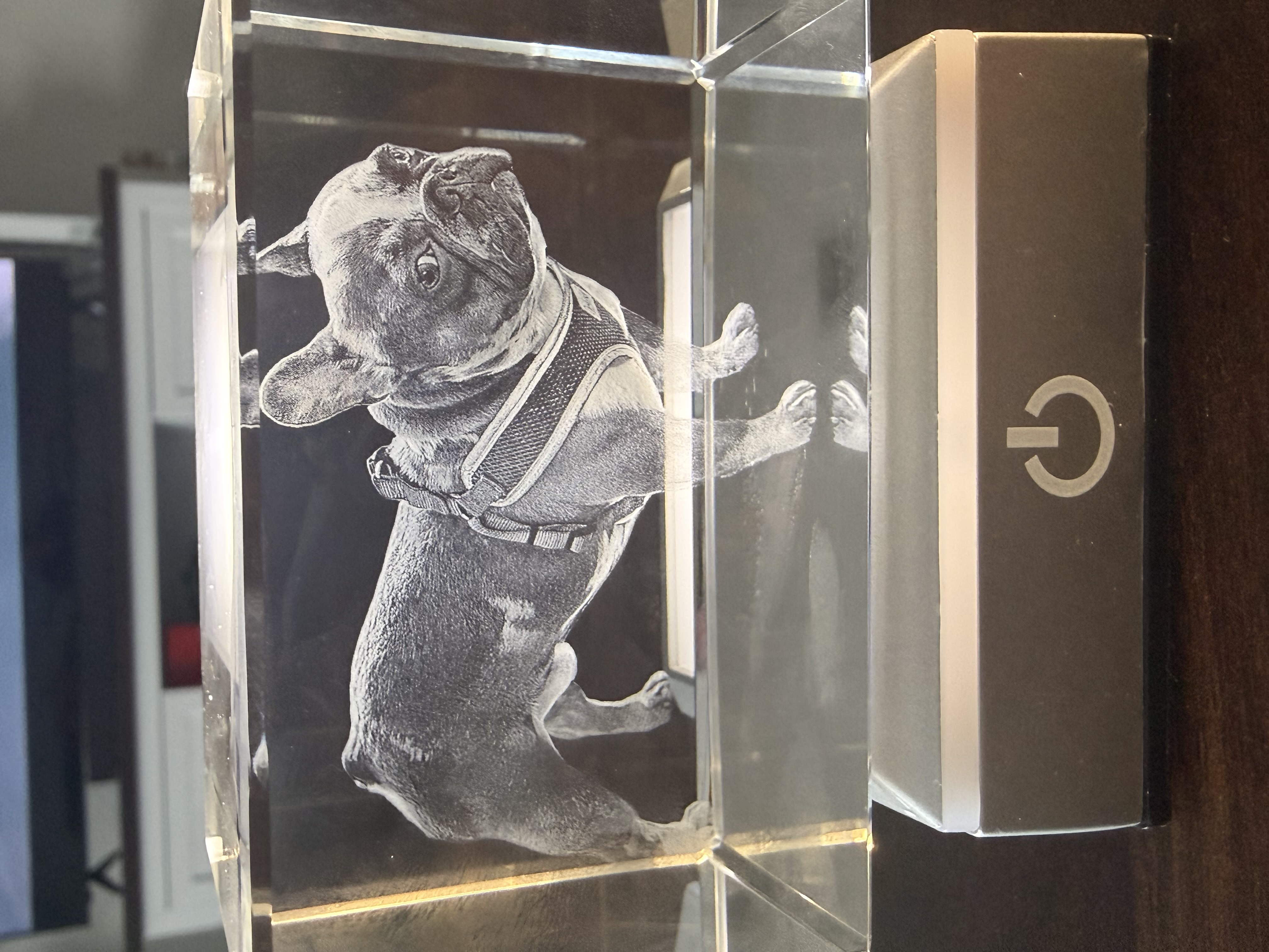 Finished dog portrait engraving displayed on a lighted base