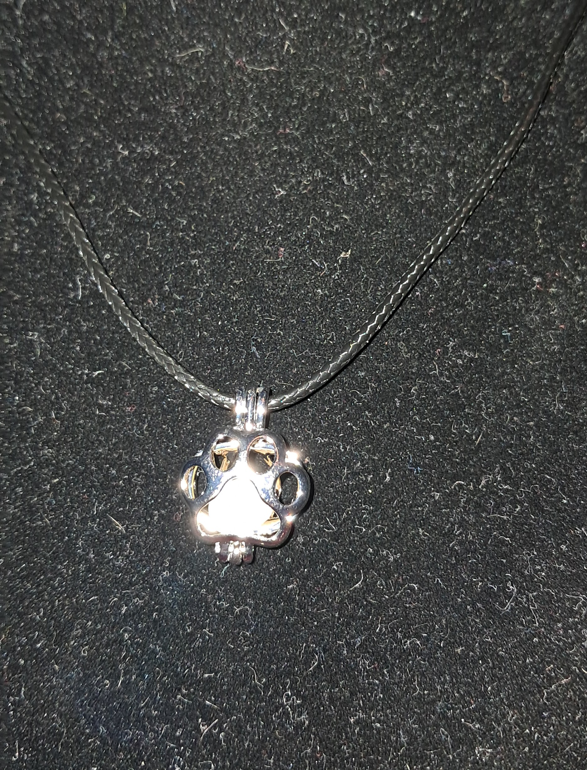 Angel Fish Locket Necklace
