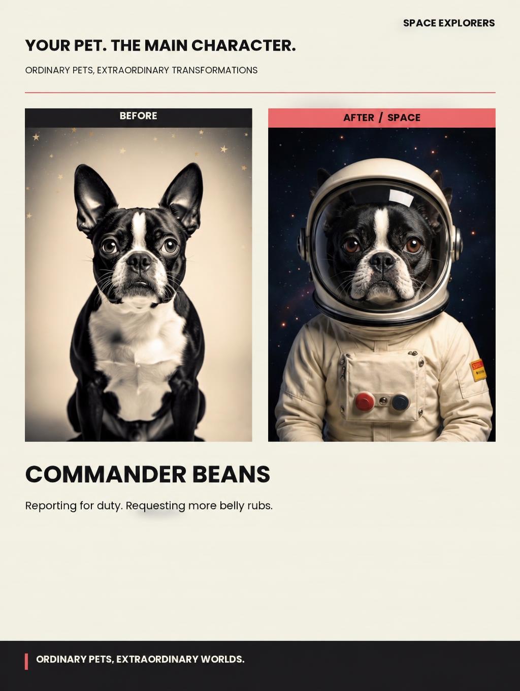 Commander Beans showcase example: a black-and-white dog before and after becoming a space commander in an enclosed helmet.