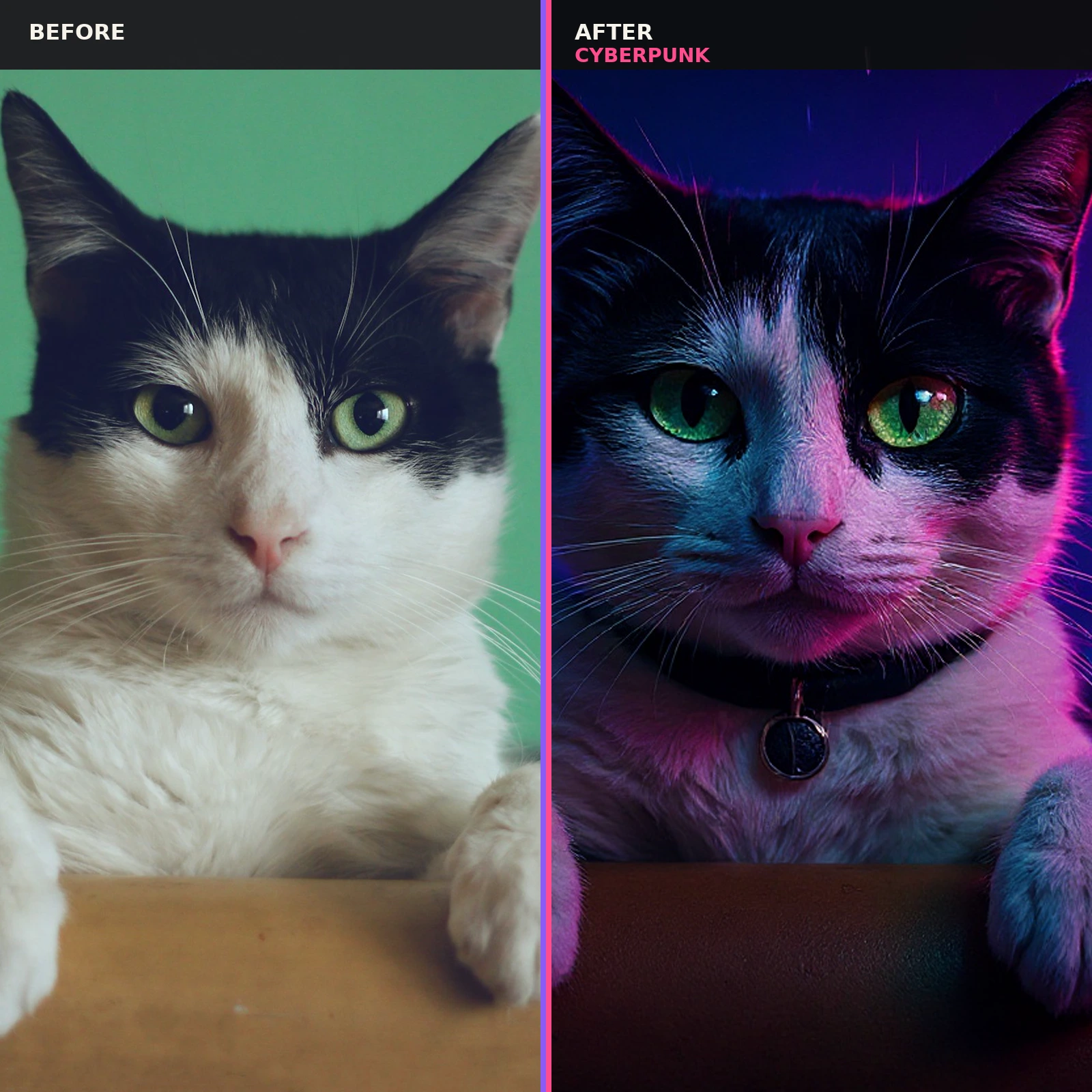 Real tuxedo cat photo transformed into a cyberpunk pet portrait.