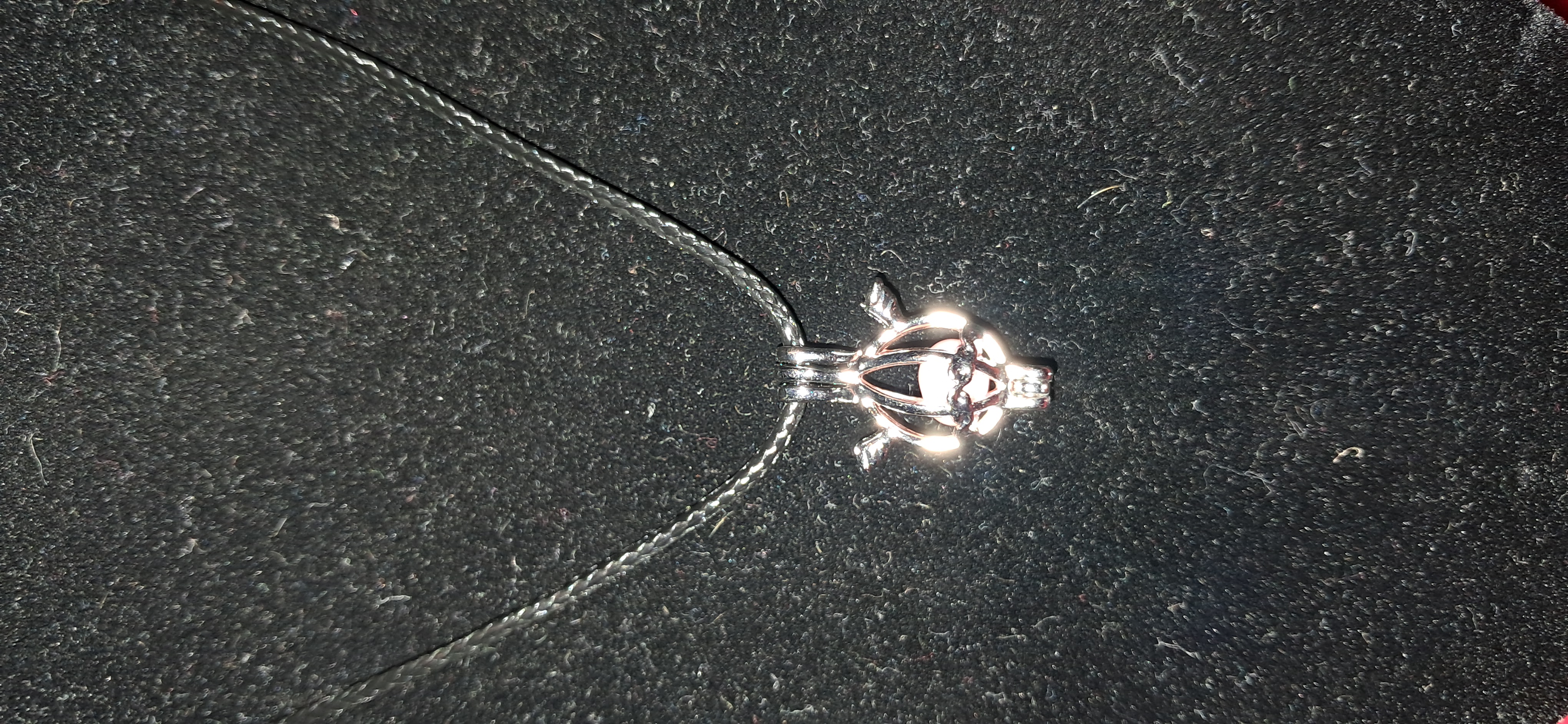 Dragon Locket Necklace