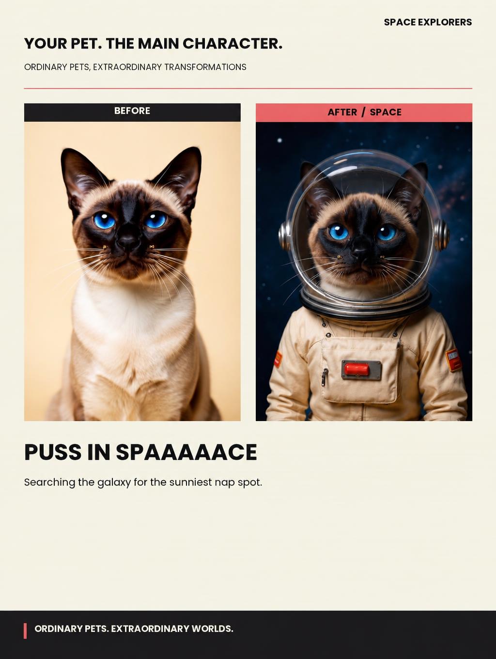 Puss in Spaaaaace showcase example: a blue-eyed cat before and after wearing a space suit, with its ears inside the helmet.