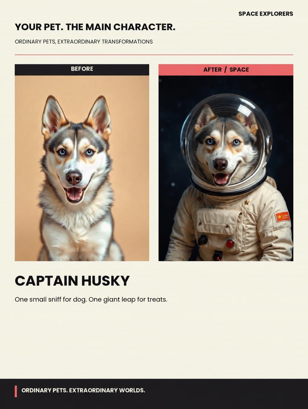 Captain Husky showcase example: a husky before and after wearing a space suit, with its ears enclosed inside the helmet.