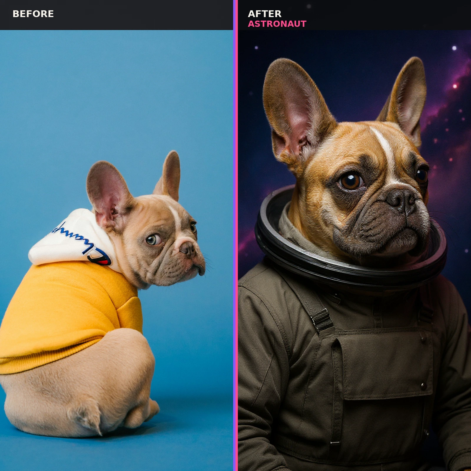 Real French bulldog photo transformed into an astronaut pet portrait.