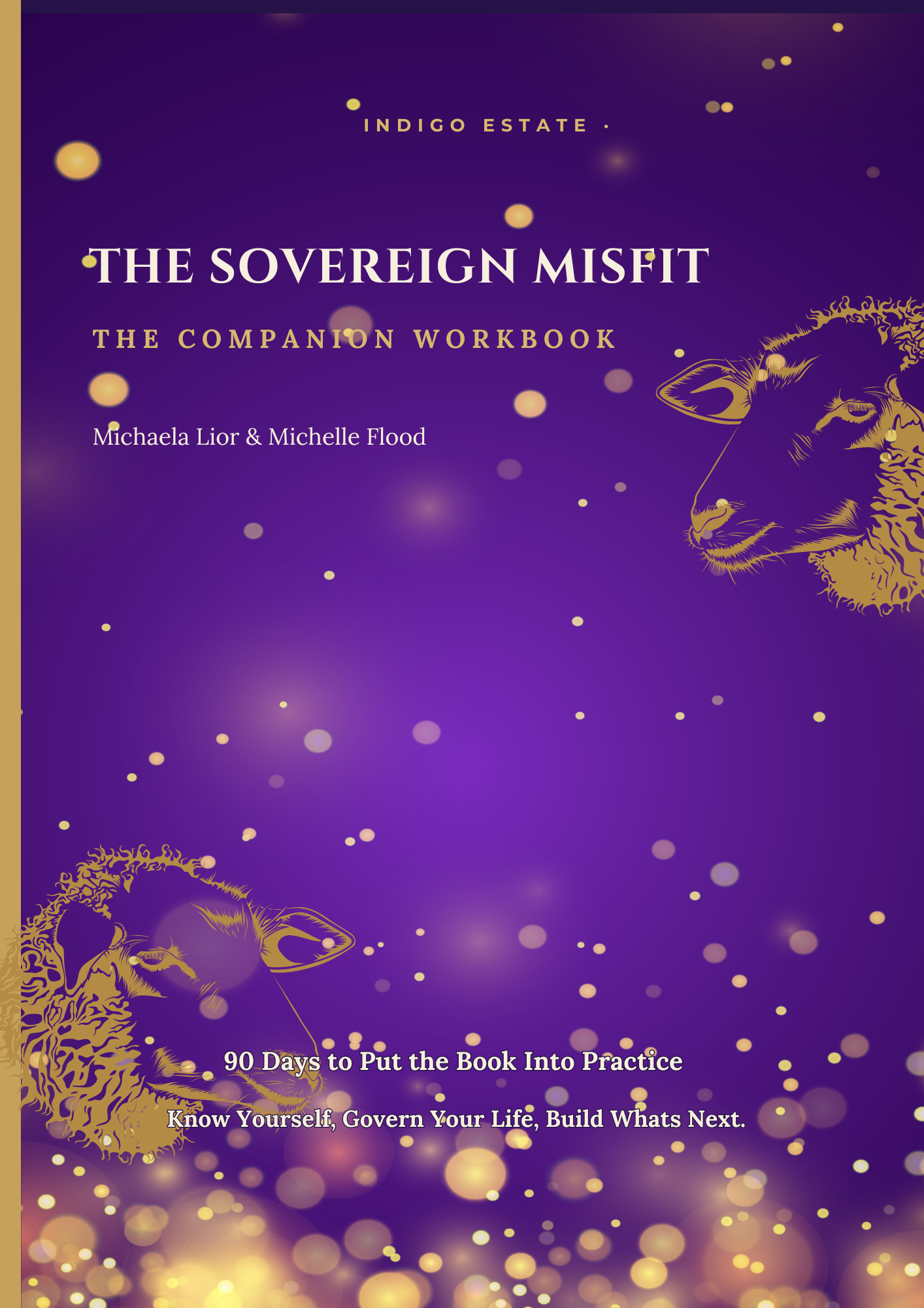 The Sovereign Misfit: The Companion Workbook cover