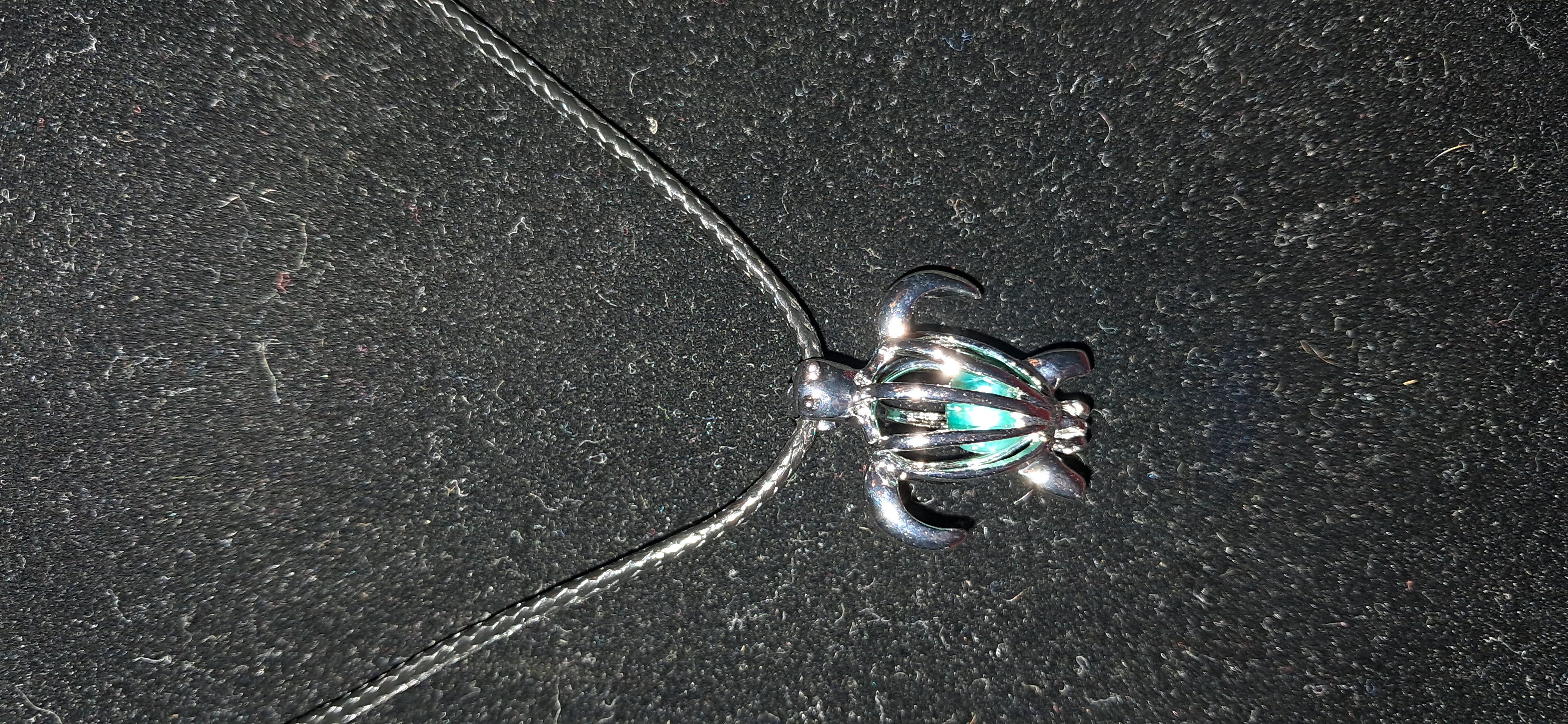 Paw Print Locket Necklace