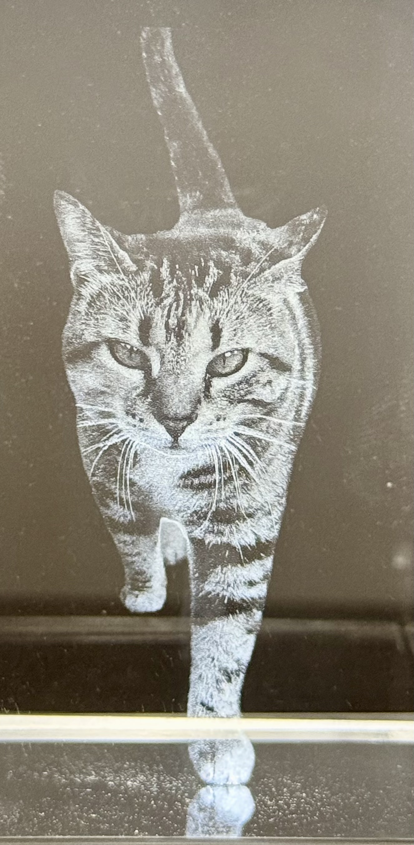 Finished engraving showing a cat walking forward