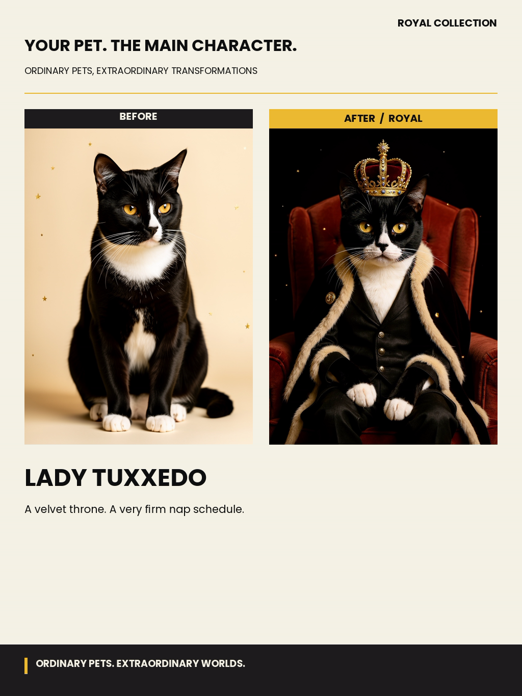 Lady Tuxxedo showcase example: a tuxedo cat before and after posing in royal robes with a crown.