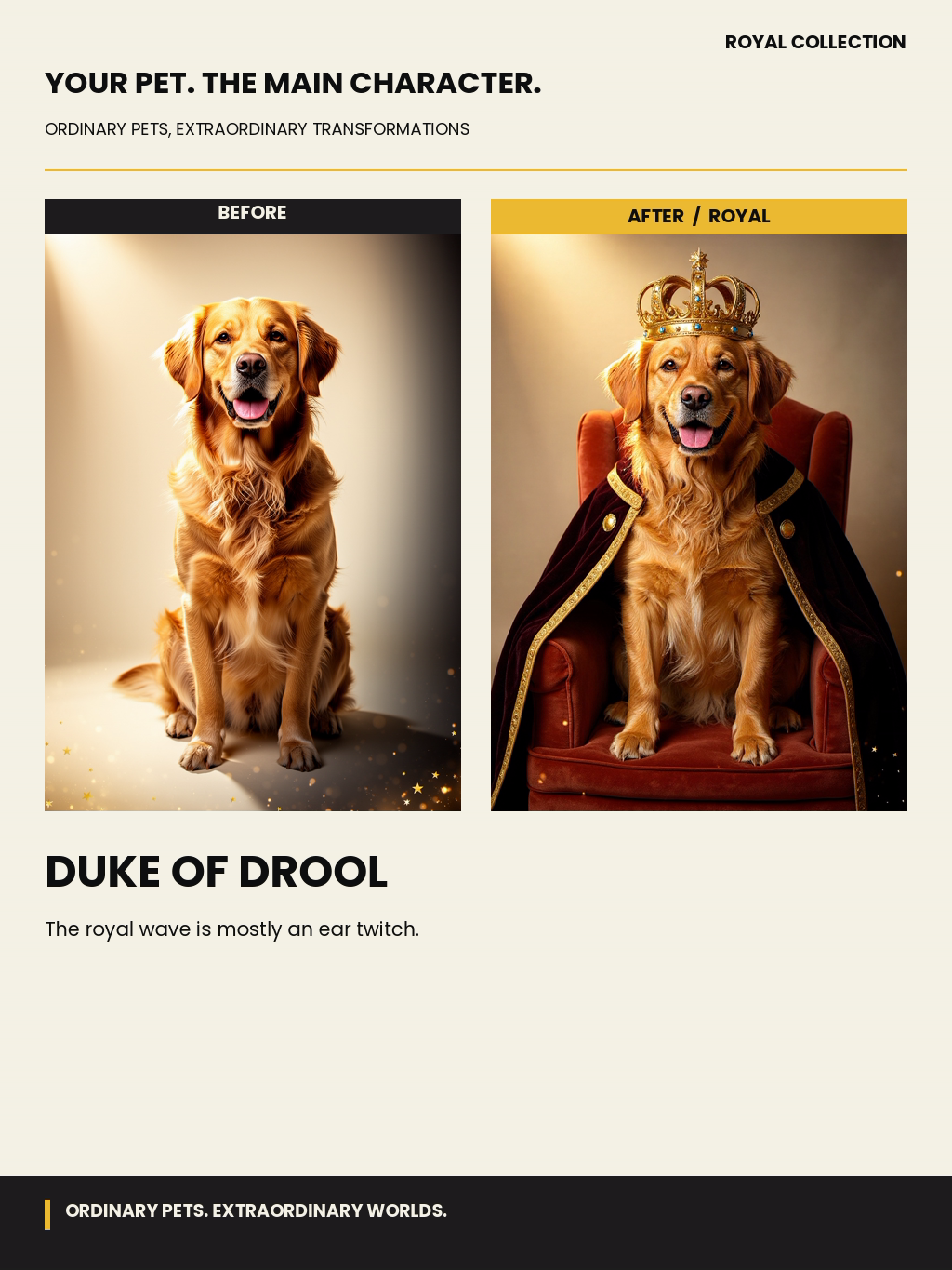 Duke of Drool showcase example: a golden retriever before and after wearing a royal crown and cape.