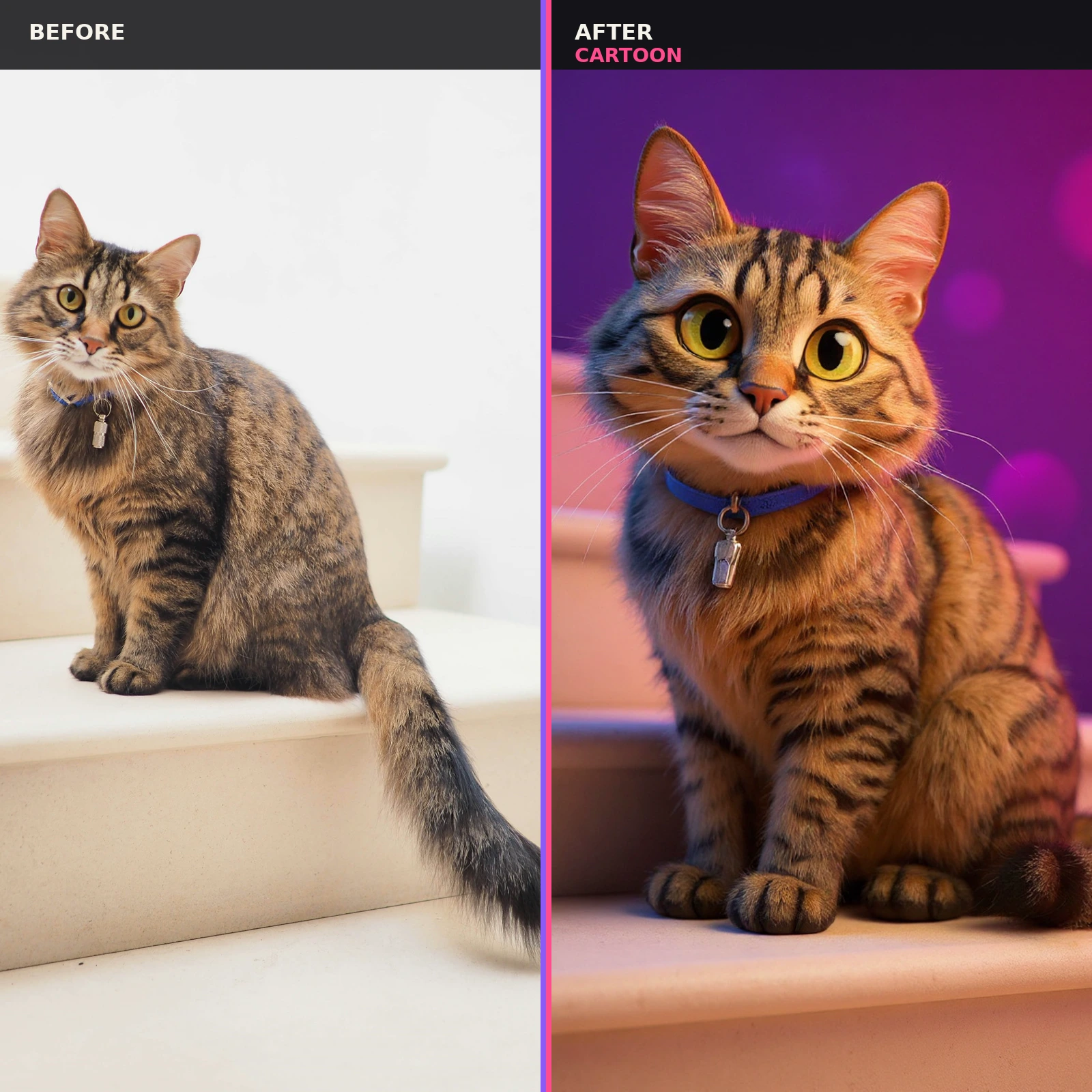 Real tabby cat photo transformed into a colorful cartoon pet portrait.